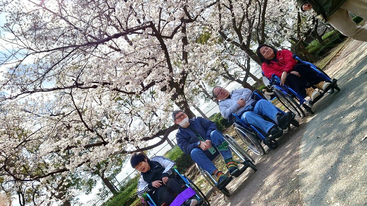 春の長居公園で撮った写真