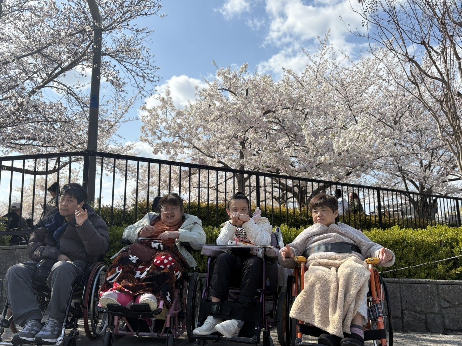 桜deフォトグランプリの準グランプリに選ばれた写真