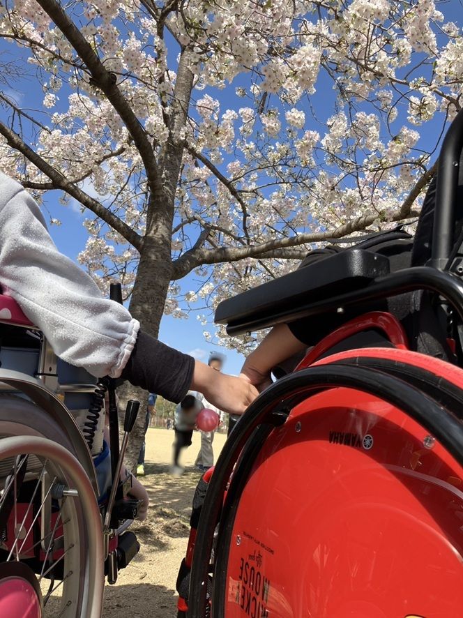 桜deフォトグランプリのグランプリに選ばれた写真