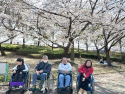 春の長居公園で撮った写真