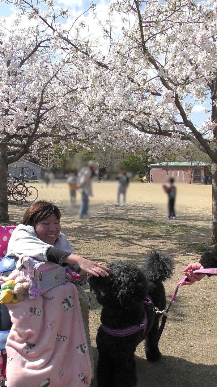 春の長居公園で撮った写真