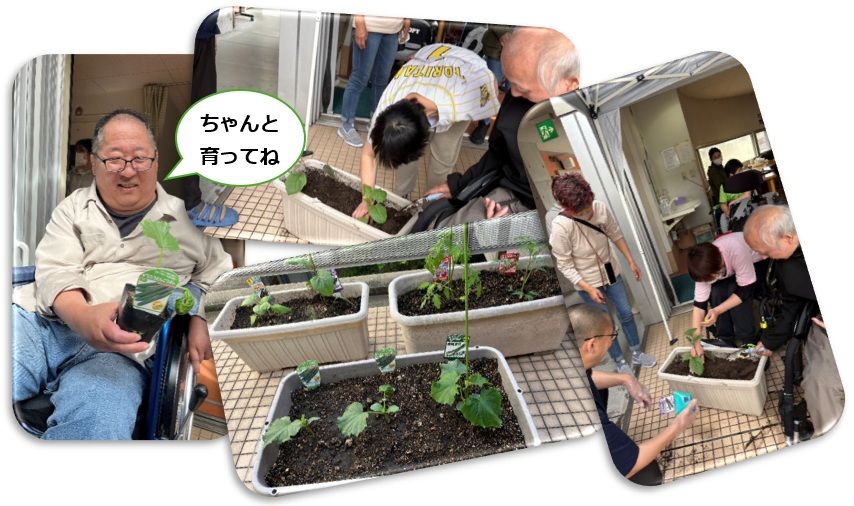 グループホーム・あいえるの苗植えの様子